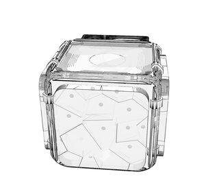 download {{ file.name }}