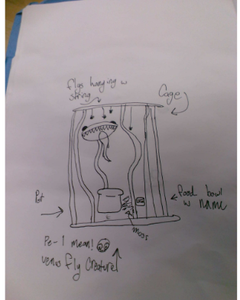 Design Brainstorming