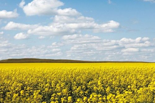 How to Get the Most Magnificent Prairie Views