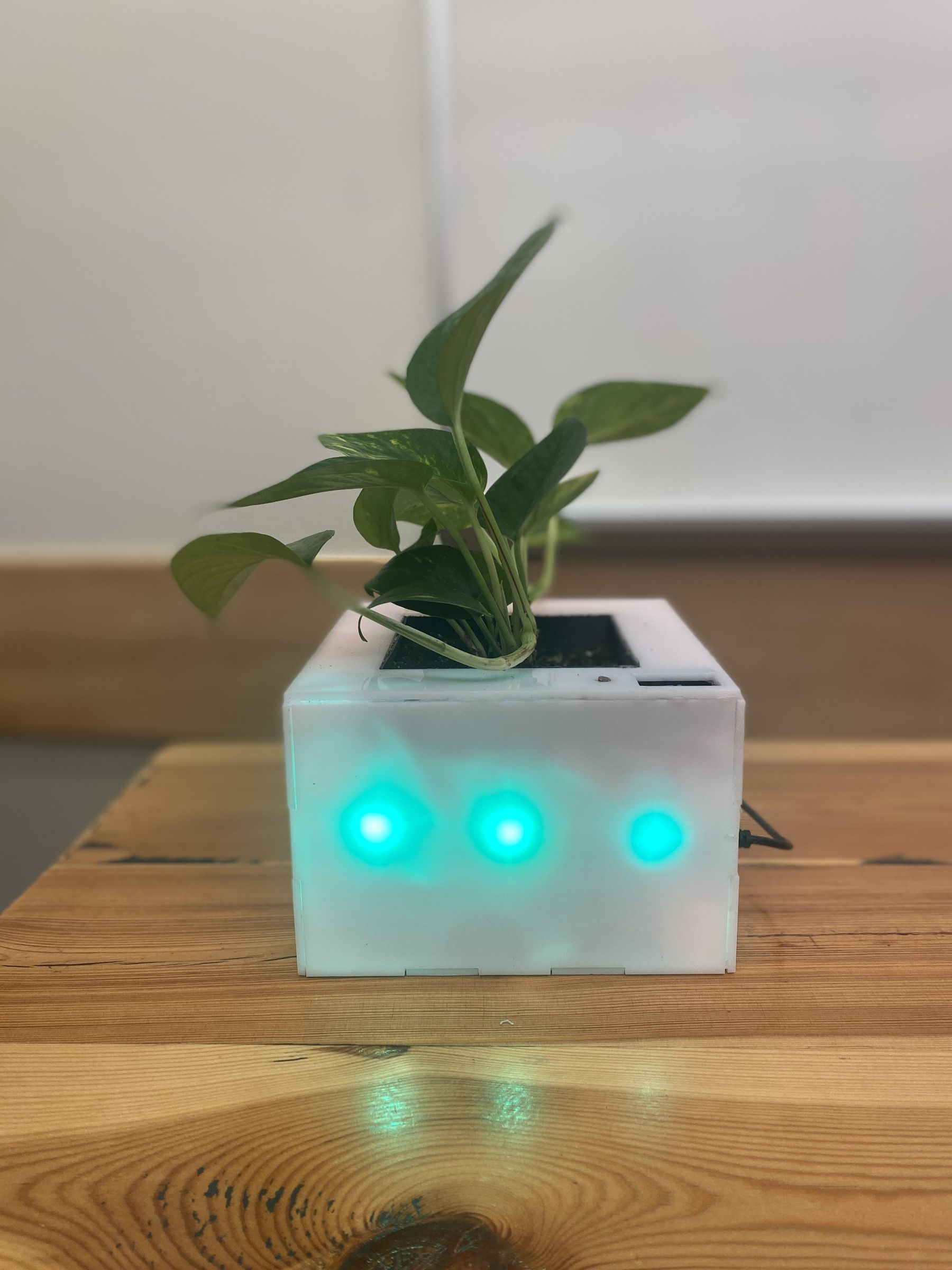 Plant Nanny 8 Steps (with Pictures) Instructables