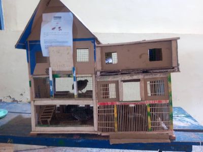 Building the Quail House