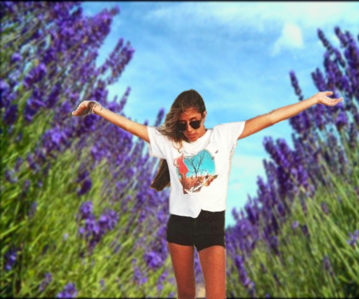Using Photopea to Photoshop an Image