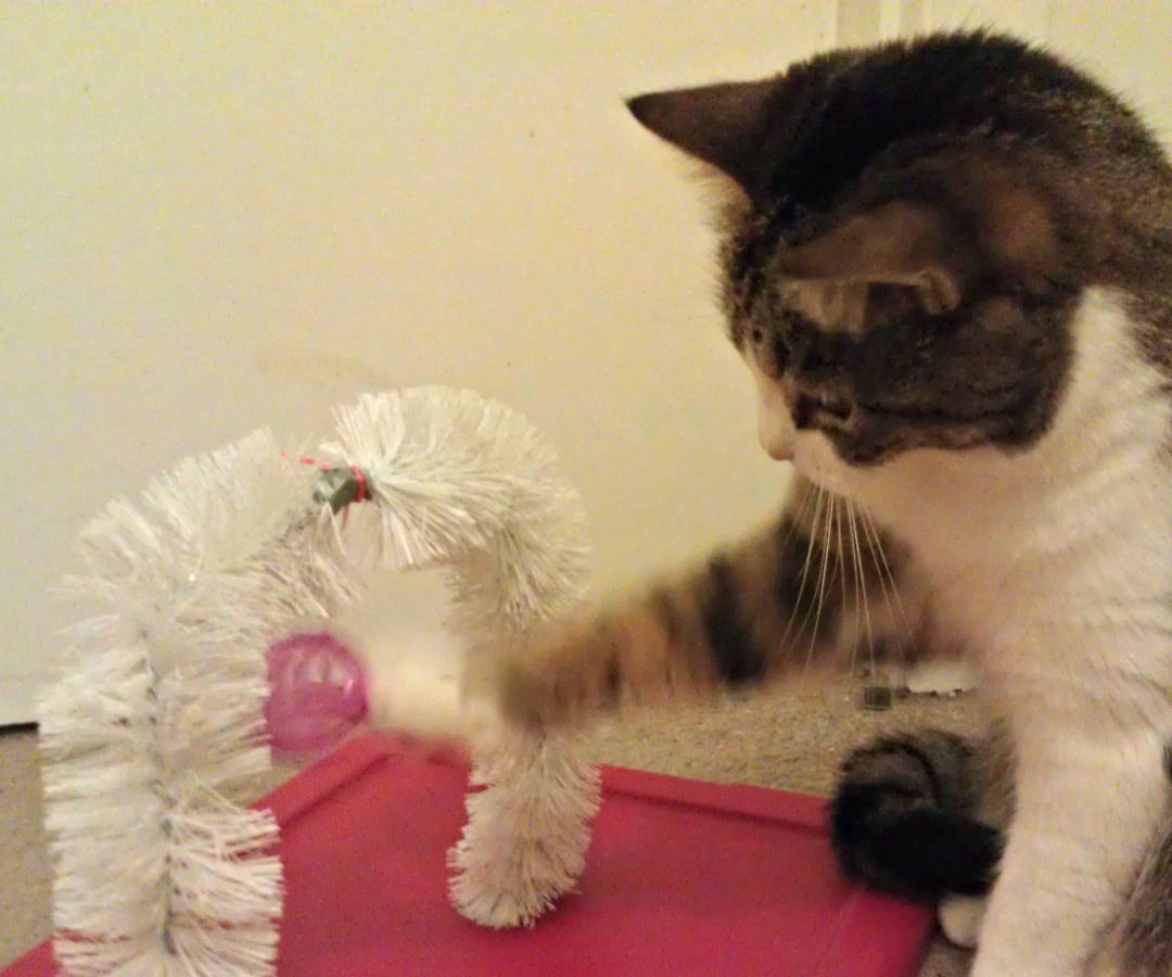 Cat Toy Massager