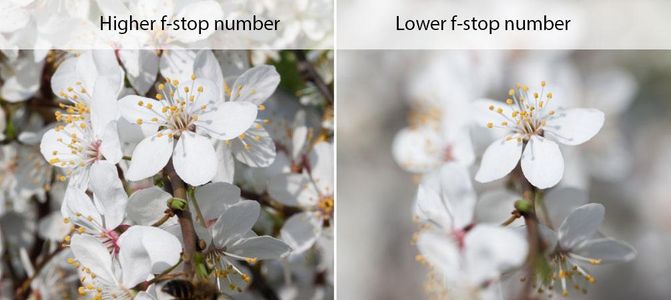 Adjusting Your Settings