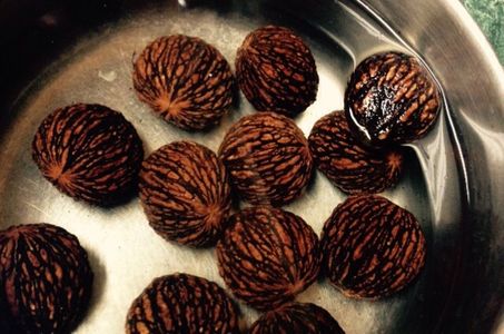 Black Walnut Harvesting & Processing : 11 Steps (with Pictures ...