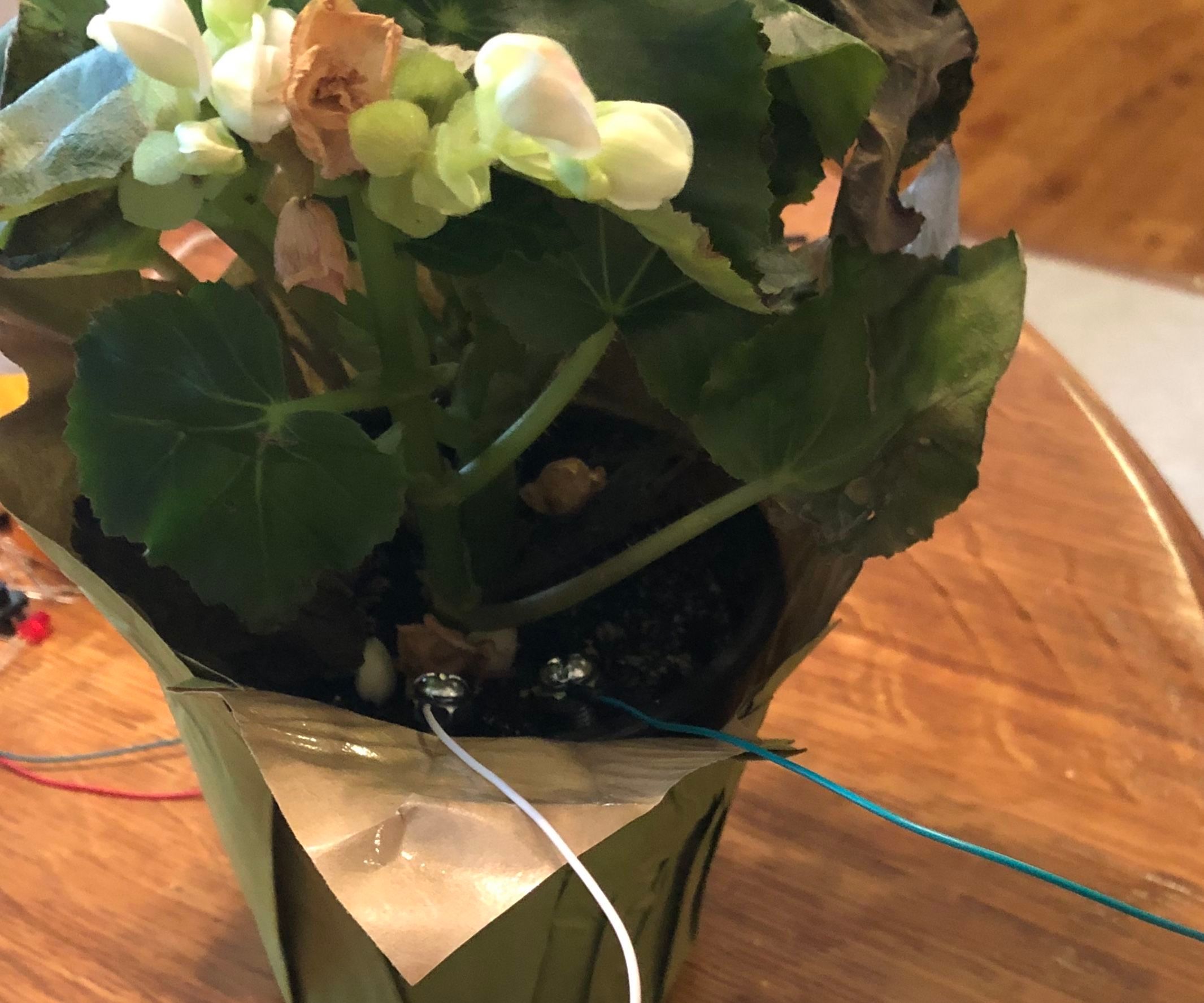 Soil Moisture Sensor DIY