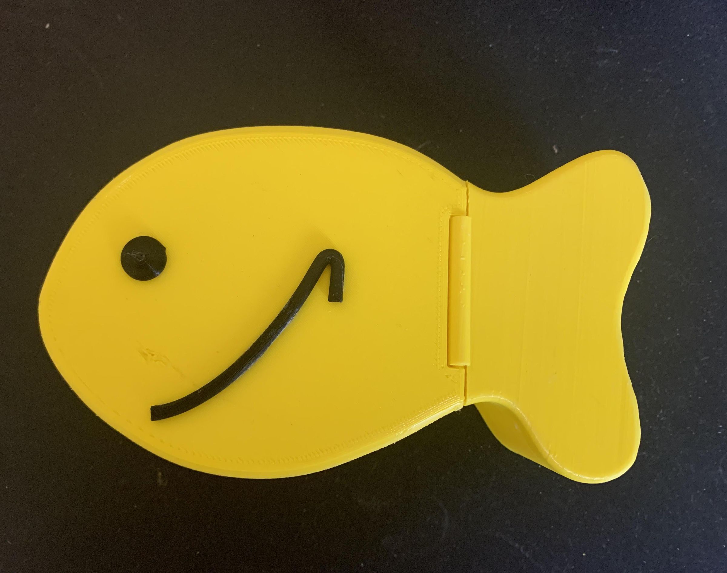 Goldfish Cracker Carry Case