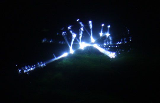 solar LED underwater graffiti creatures