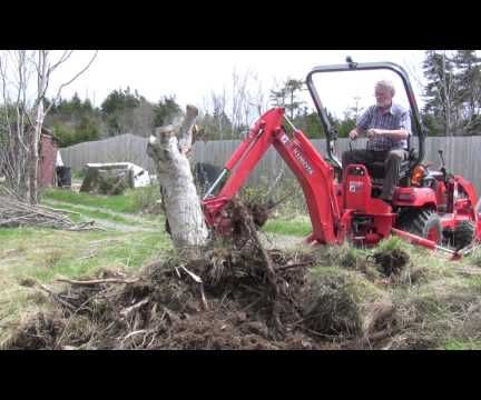 How to Remove a Tree Stump
