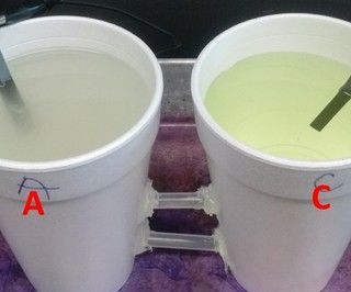 MFC: Sustainable Energy Source