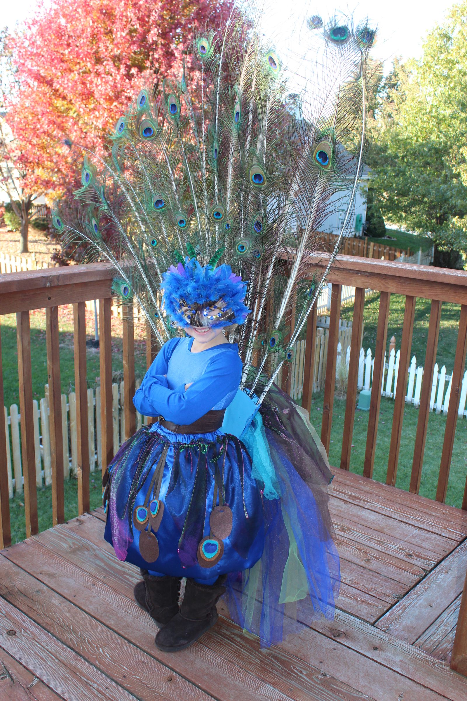 Pretty Little Peacock