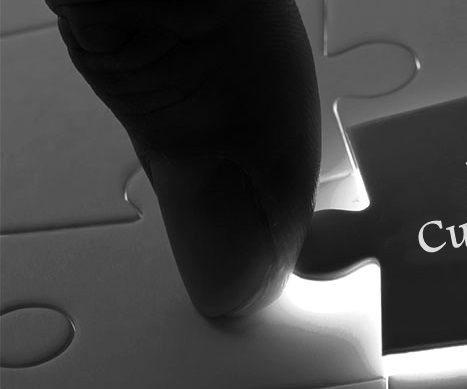 How to Create a Custom Product Option for Your Magento Store?