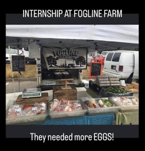 The Homesteading Genesis Story