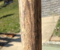 Garden Tool Handle Care