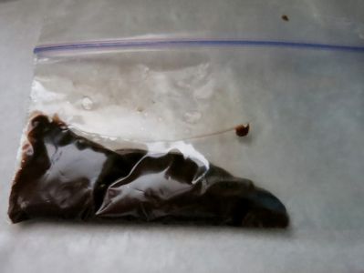 Decorate, Serve, and Enjoy