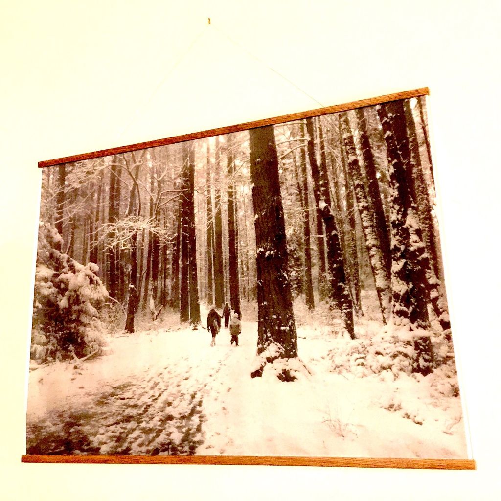 Poster Mounting Rails
