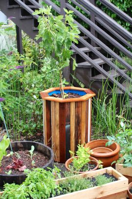 Stylish and Low Cost 55 Gallon Drum Planters : 15 Steps (with Pictures) -  Instructables