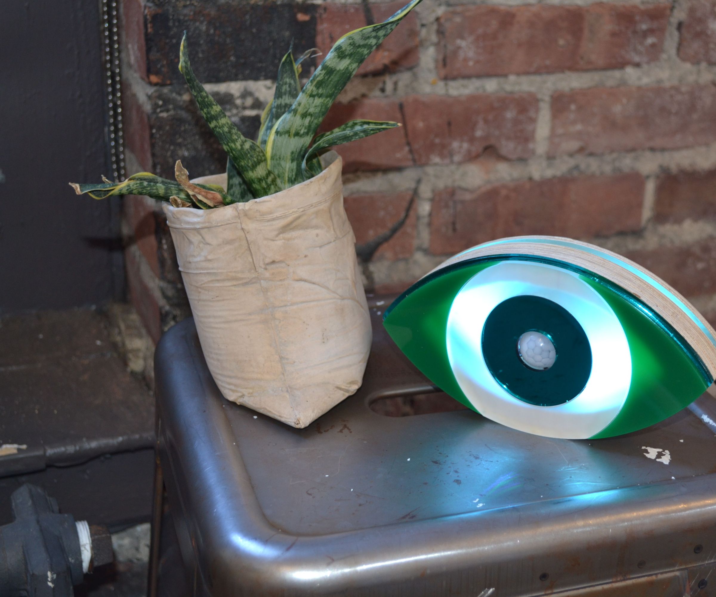 Watchful Eye