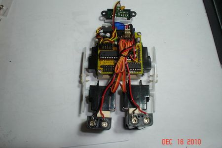 Wobbly, a Mini Biped Robot
