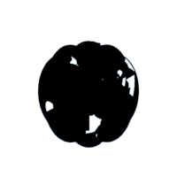 download {{ file.name }}