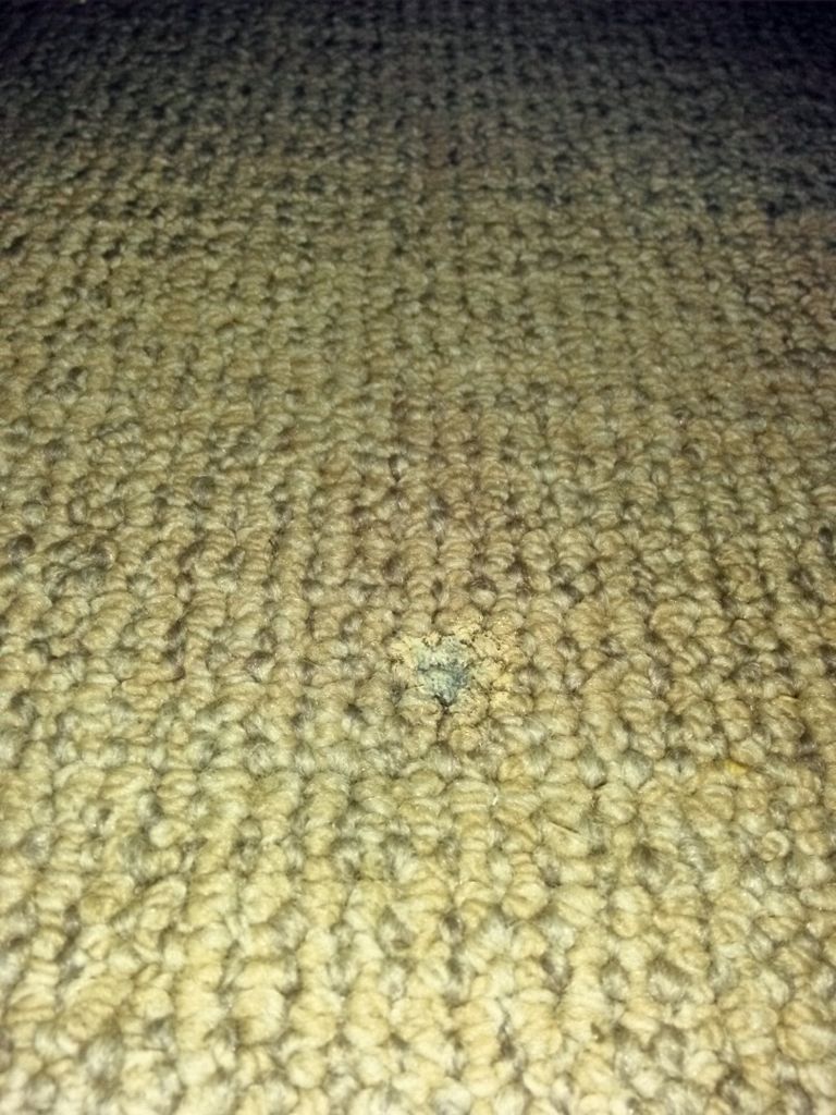 cigarette burn on carpet How to Remove Burns from  Easy Fixes A lit cigarette burns a