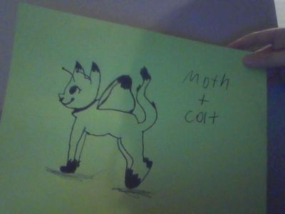 Draw a Draft Picture of the Two Animals Mixed Together