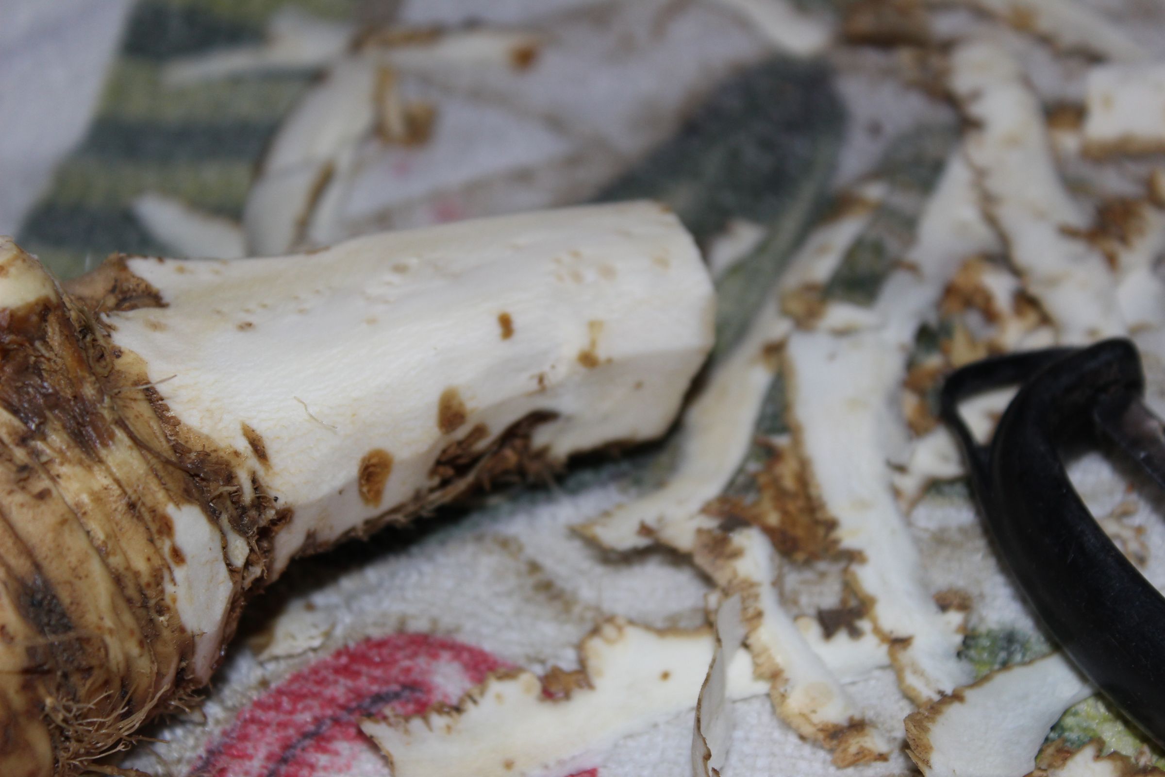 Canning Horseradish 4 Steps Instructables