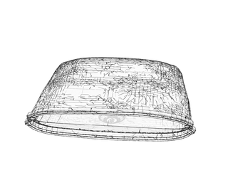 download {{ file.name }}