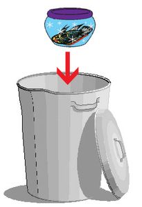 Domestic Animals - Fish