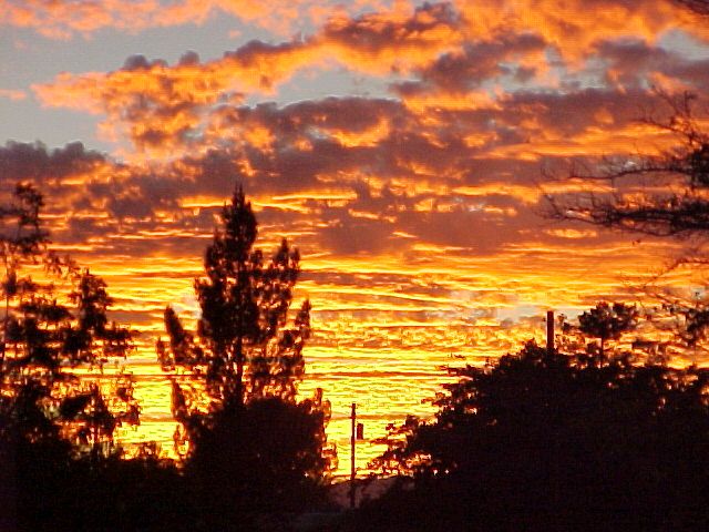 Nature photography