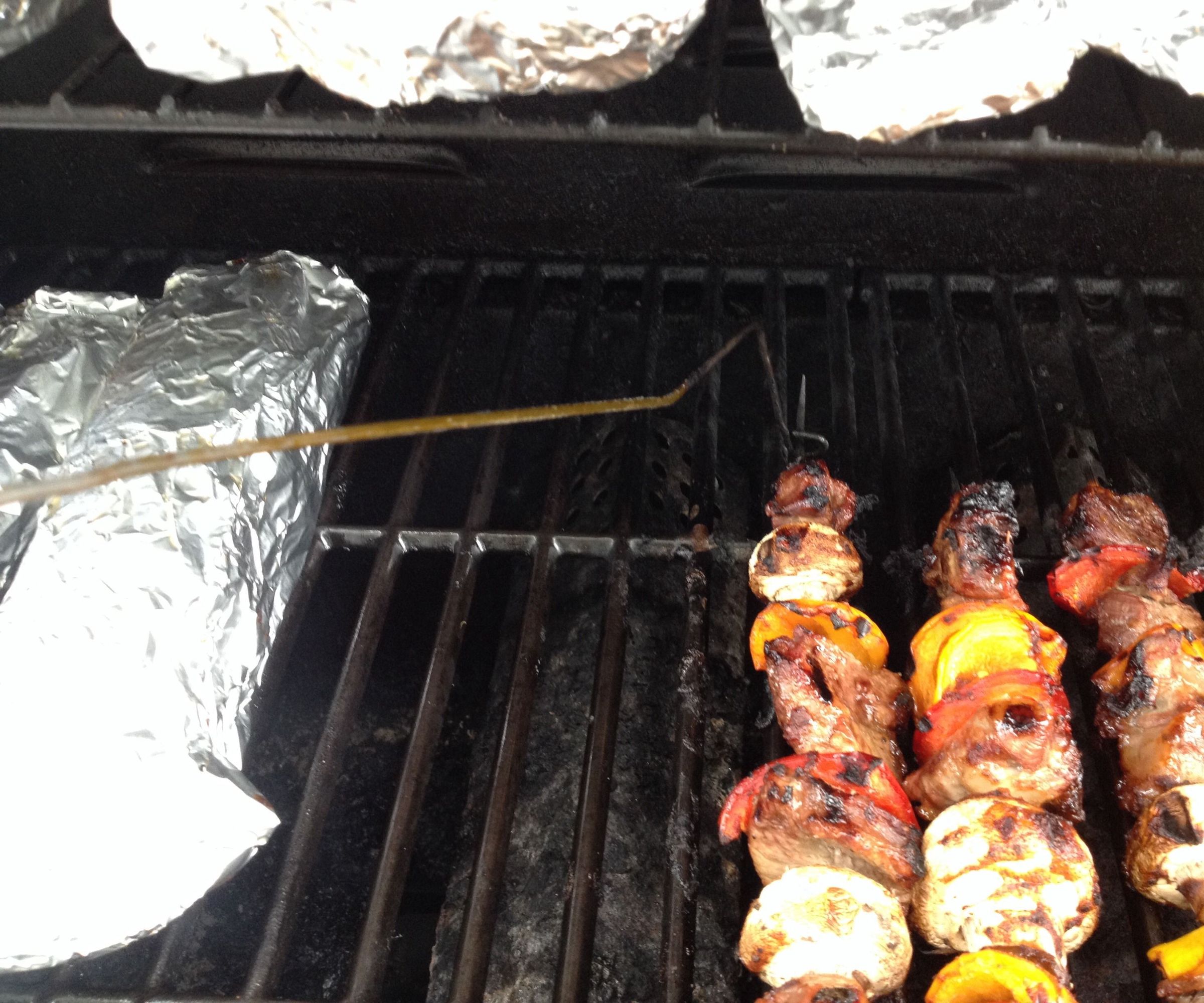 Pain Free Kebab Turner