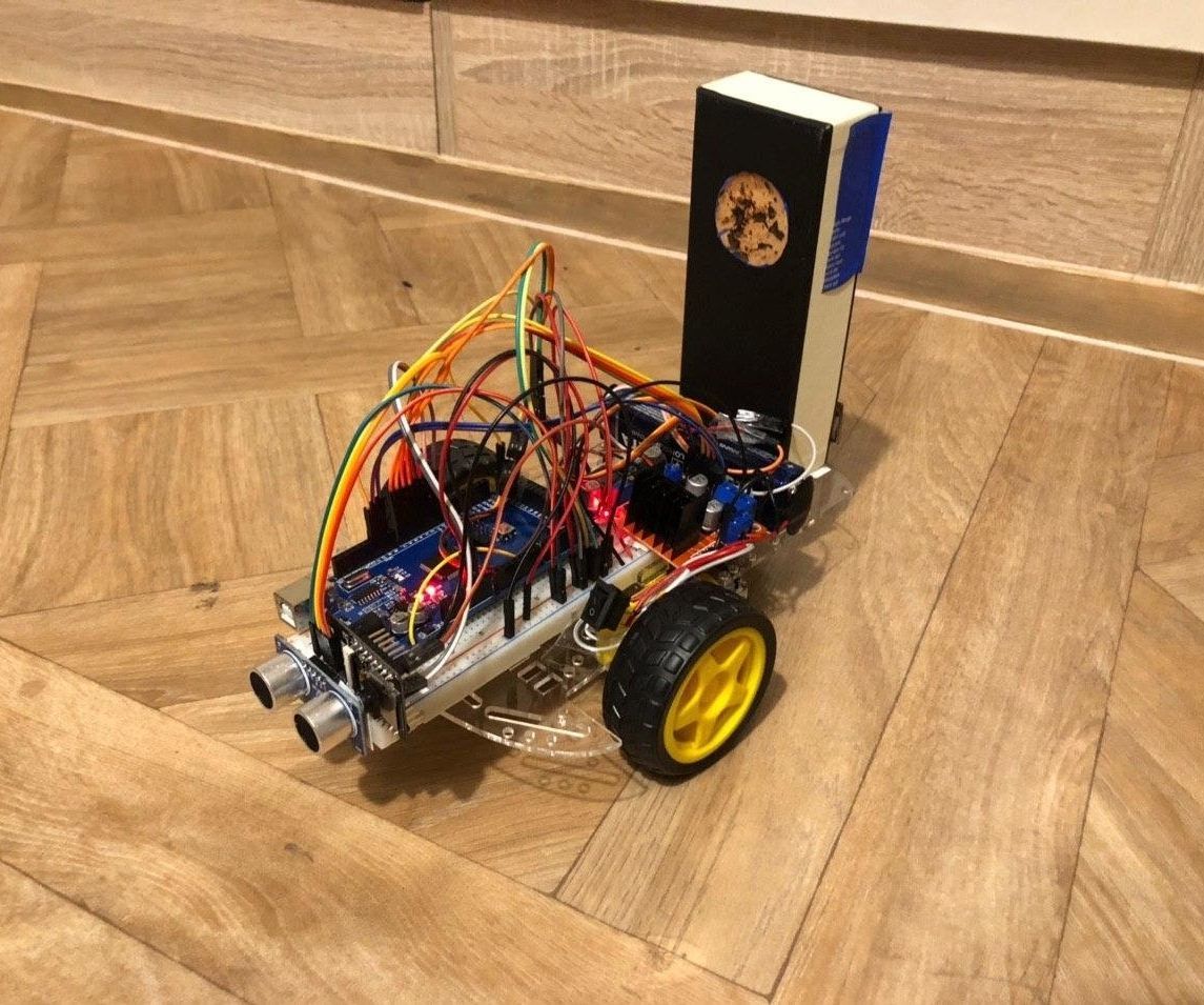 Virtual Presence Robot