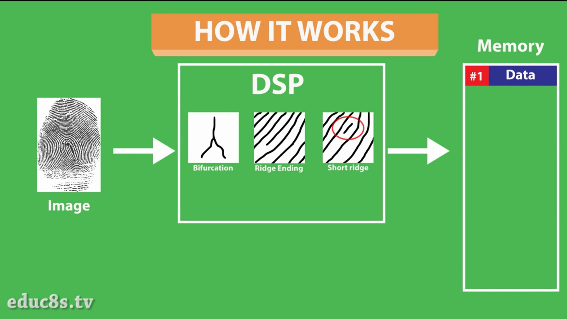 The Fingerprint Sensor Module