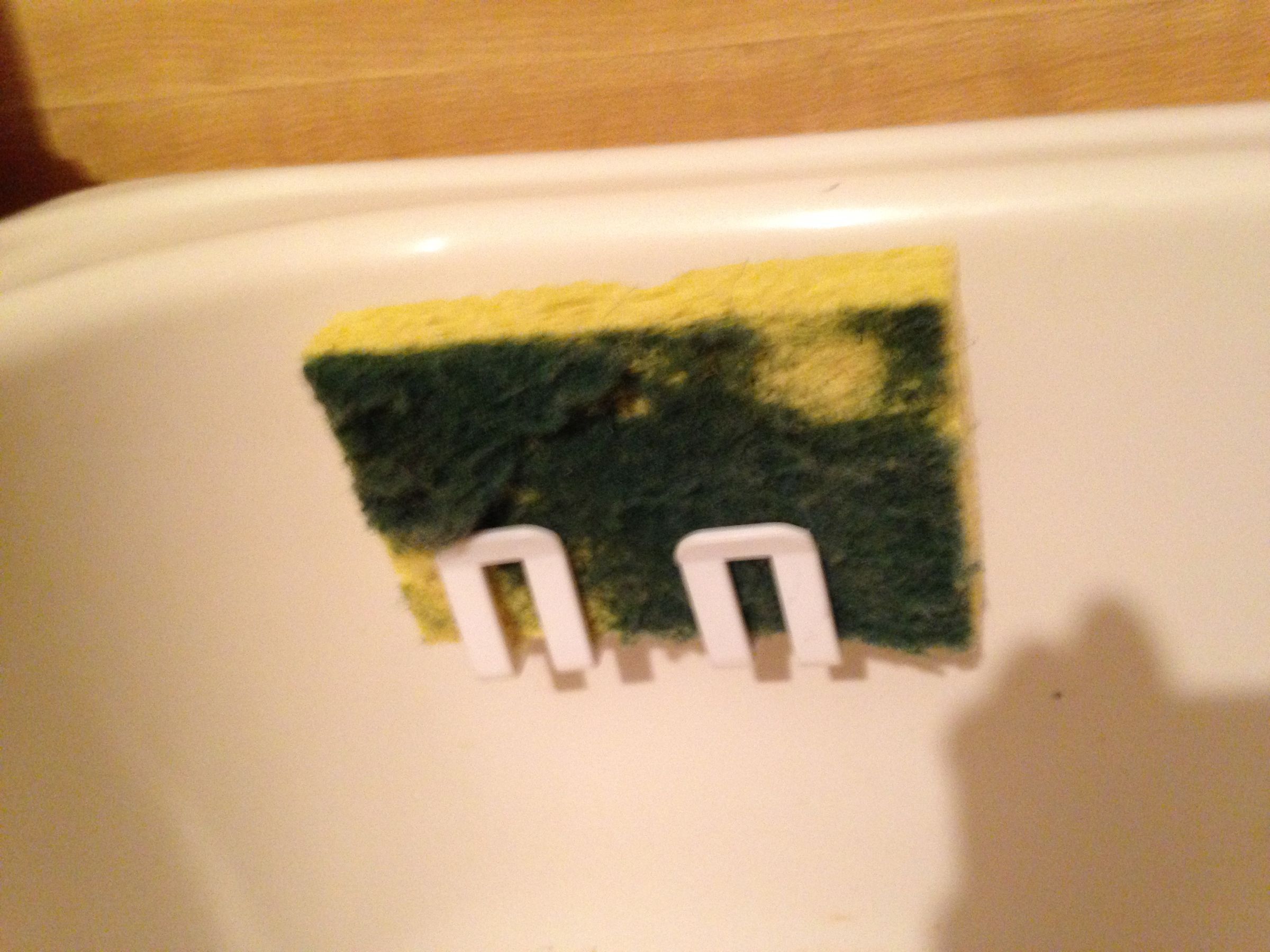 Keep Kitchen Sponges Free of Bacteria Instructables