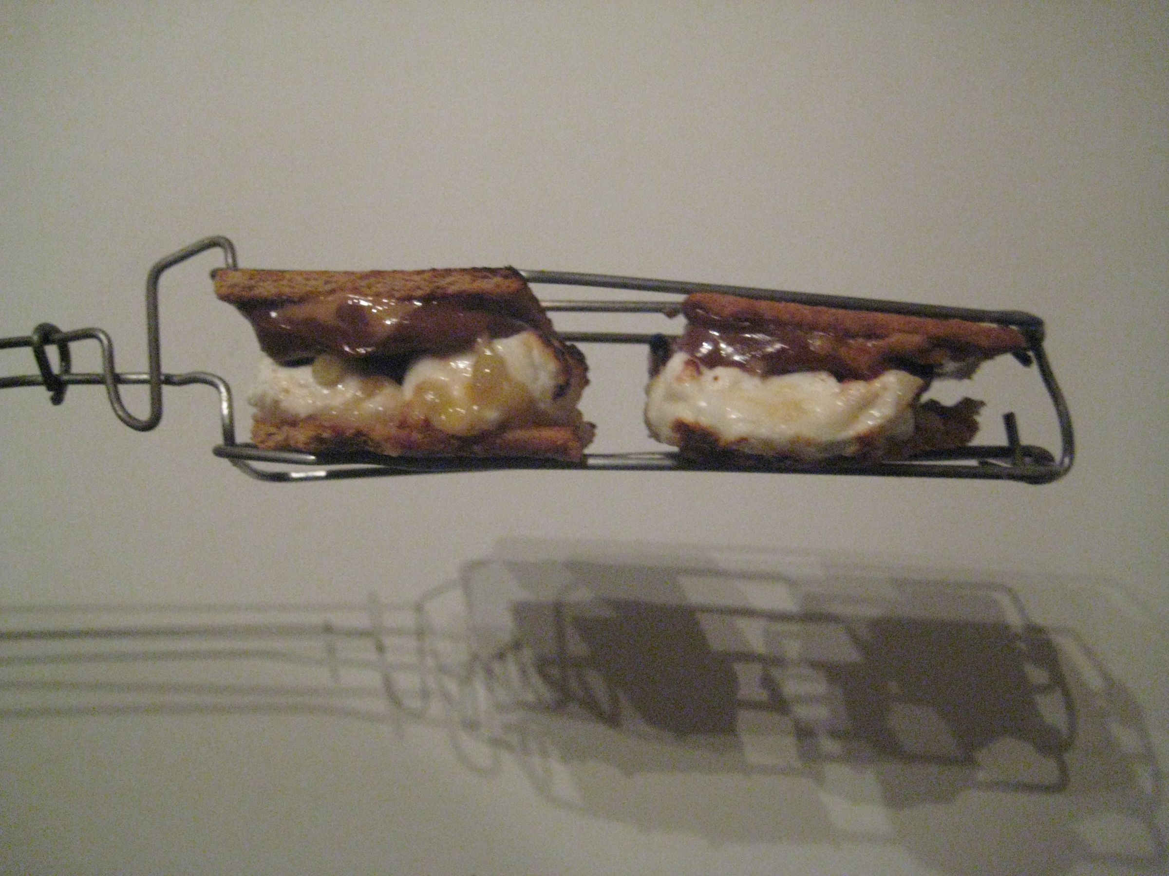 Smores Grilling Tongs From Wire Clothes Hangers