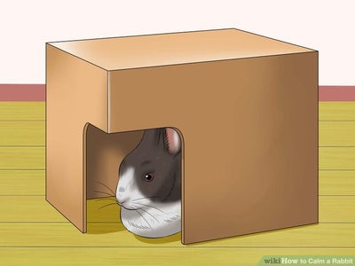 DIY Rabbit Hidey Hut