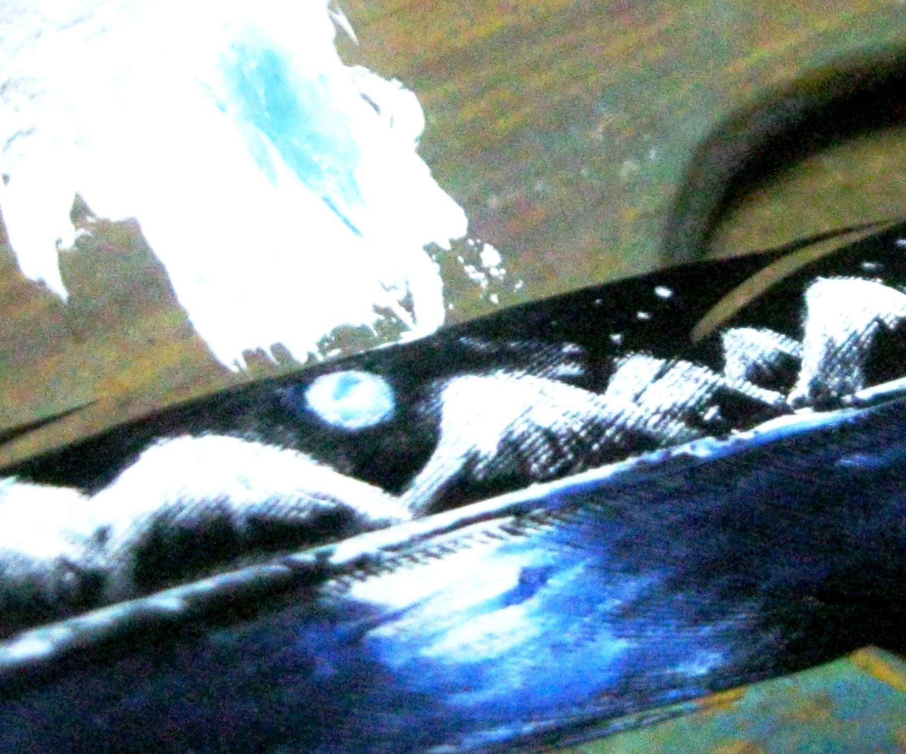 Let's have fun with paint and feather