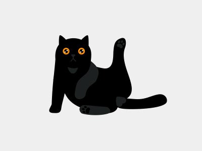 Create Initial Sketch