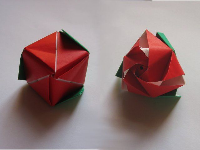 Magic Origami Transforming Rose (Valentines Day)