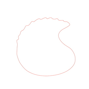 Import Final Image to Adobe Illustrator