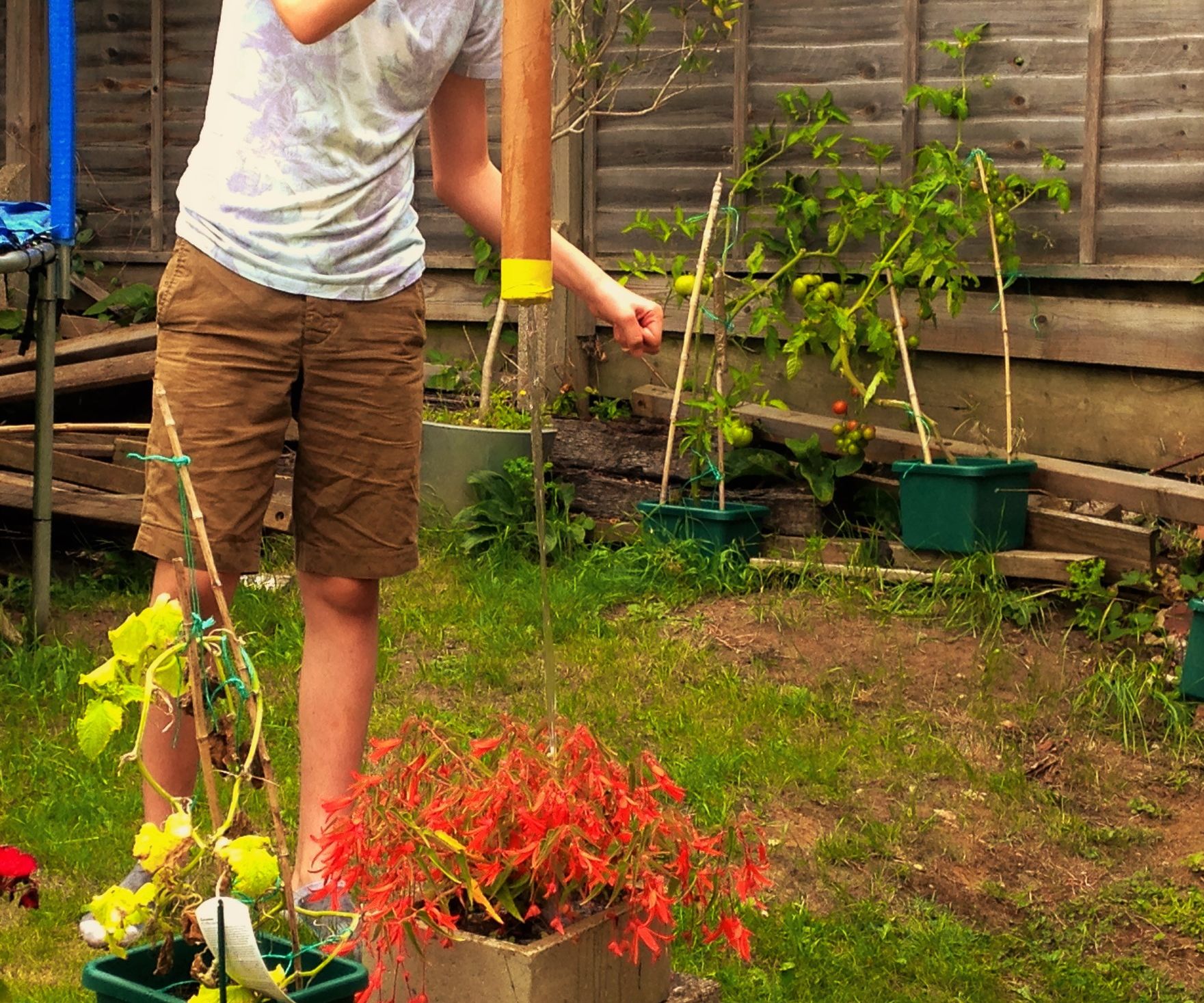 Cardboard Watering Can for £5