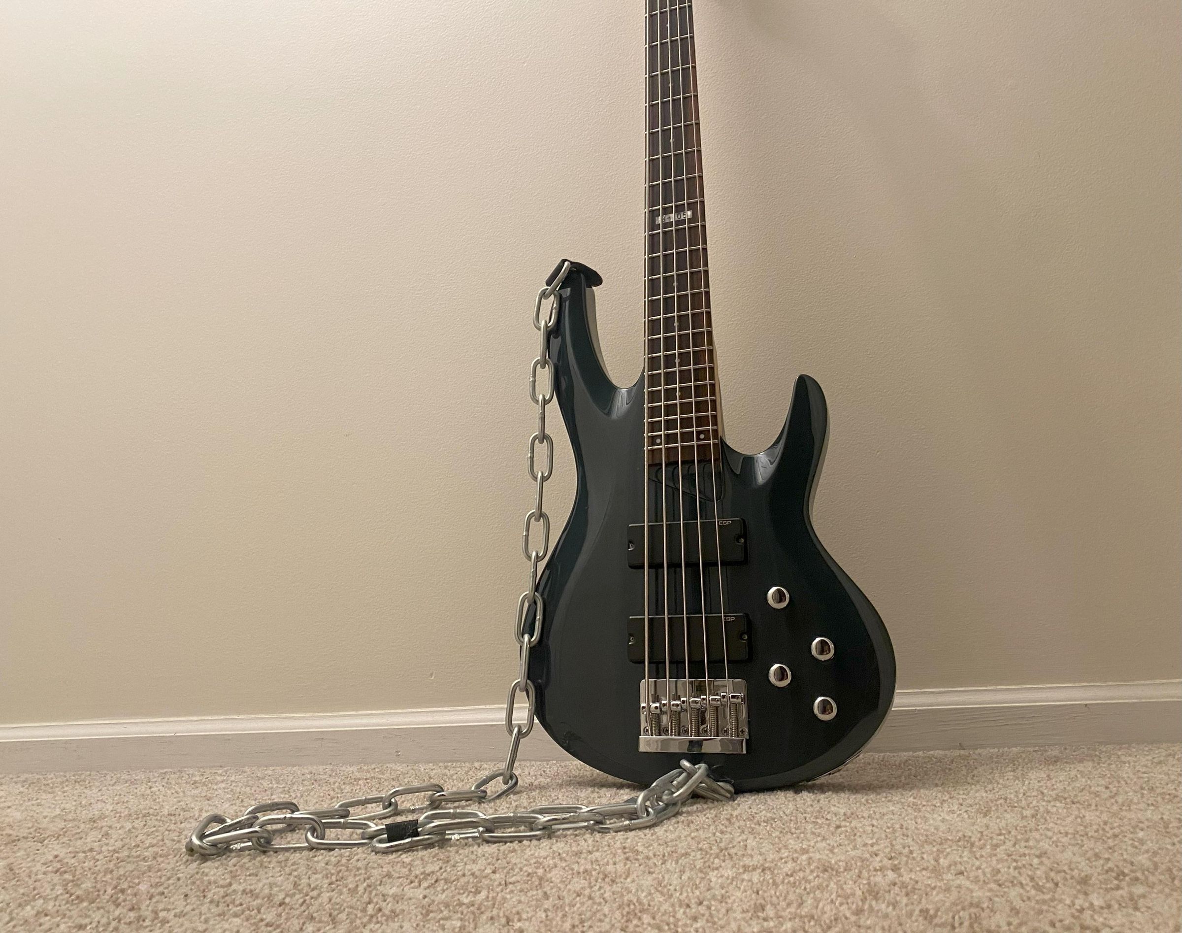 Bass Care 101: the Complete Guide to Basic Bass Care and Maintenance