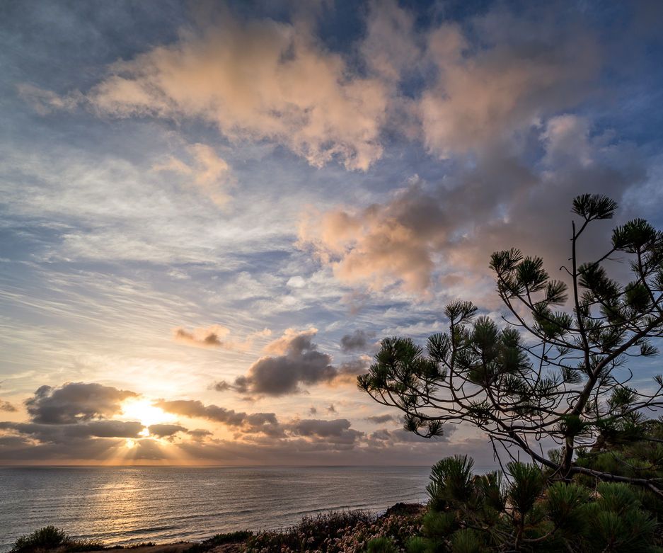 Adjustments That Make Your Photo Pop