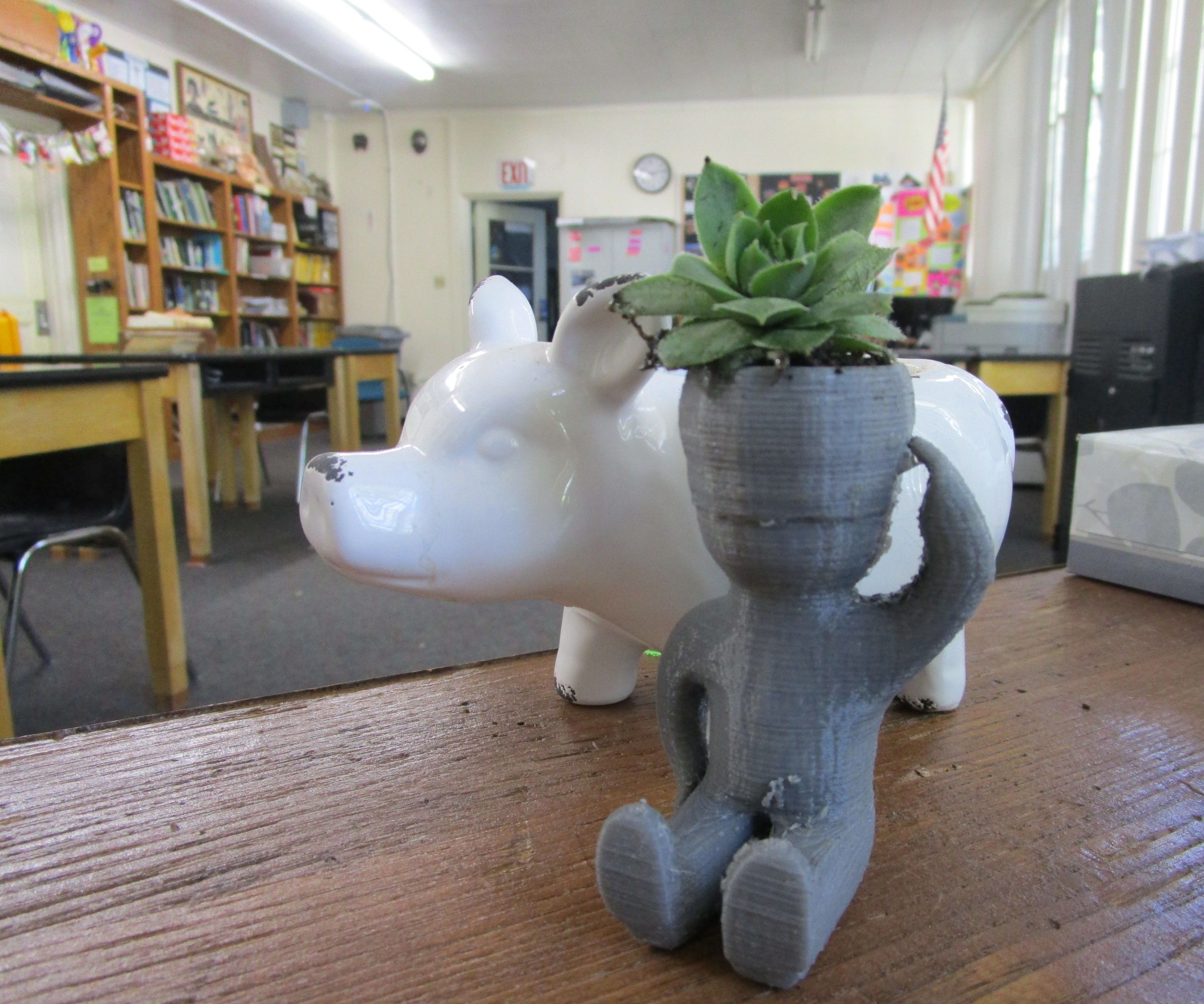 Mr. Succulent 