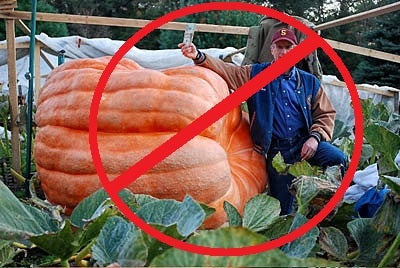 Have the Right Pumpkins, Soil, and Time