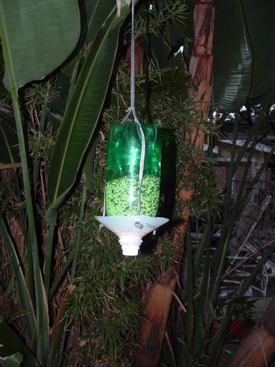 Simplest Bird Feeder