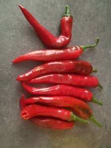 July Update: First Harvest