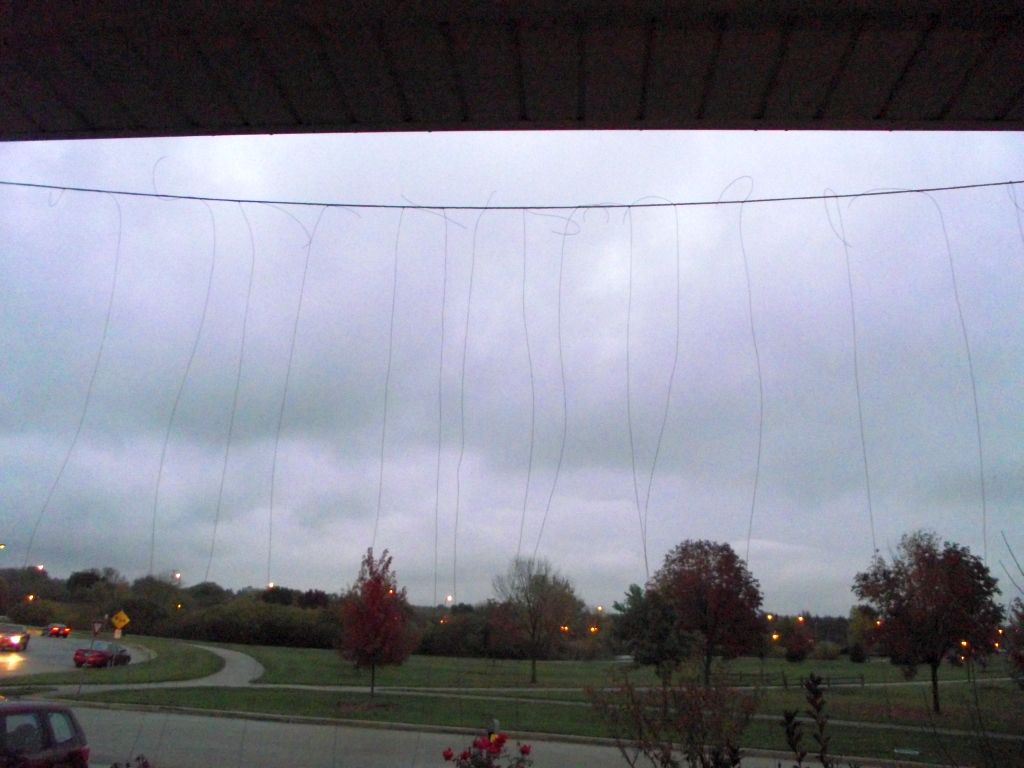 Super Easy, Super Creepy Walk-Through Spider Webs