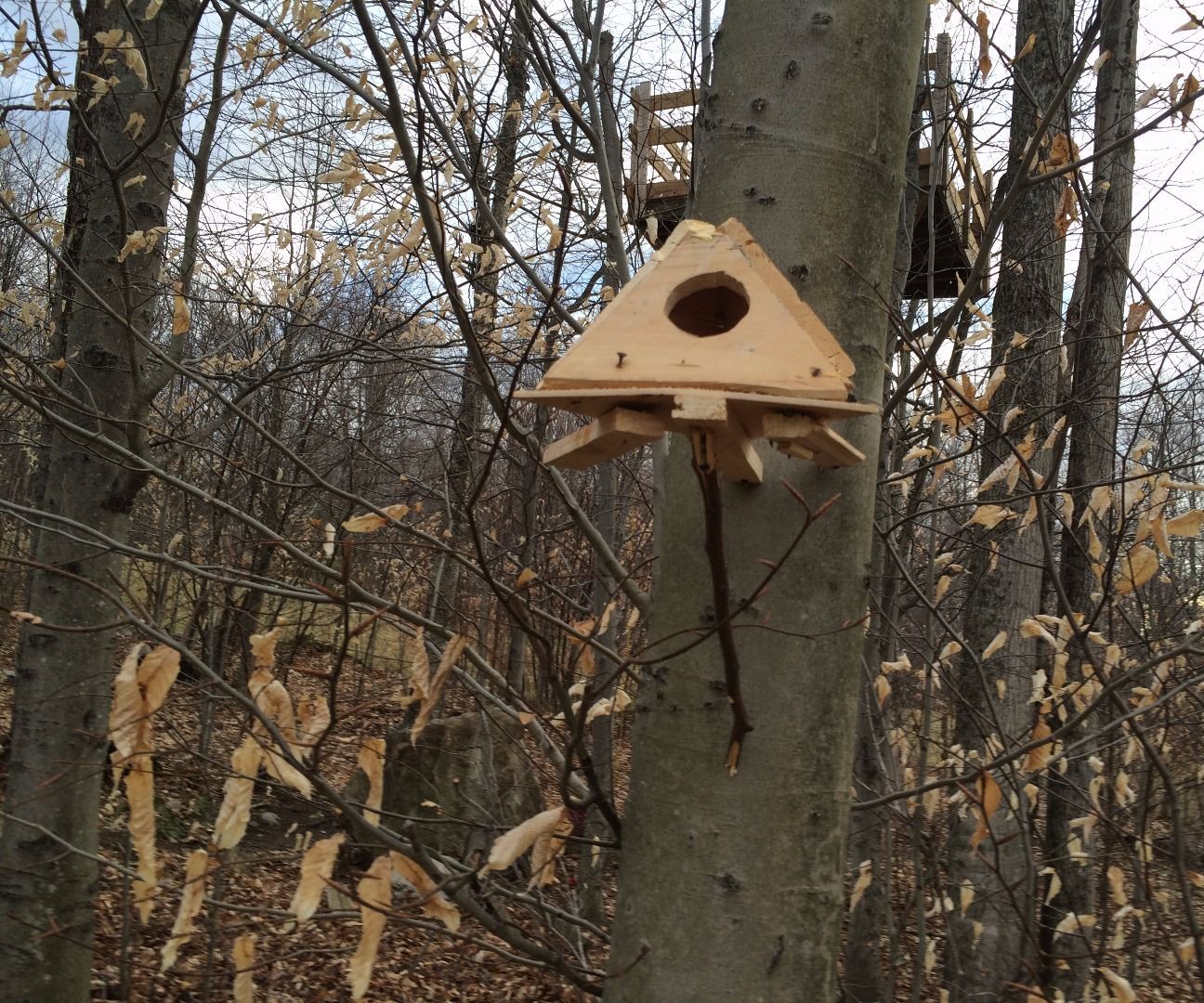 Triangular Bird Box