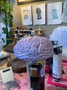 Make the Brain